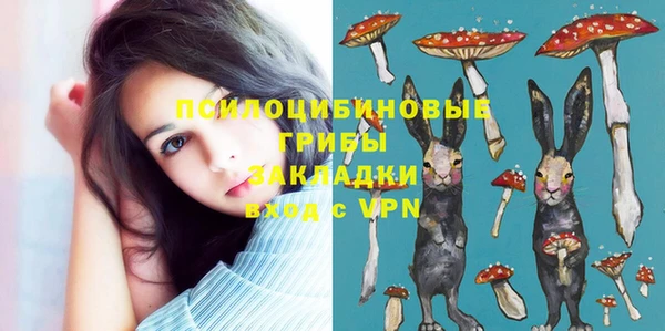 соль ск Абдулино
