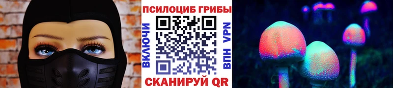 Галлюциногенные грибы Psilocybine cubensis  Владикавказ 